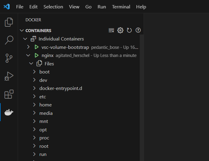 Screenshot of the file tree in the VS Code Docker extension